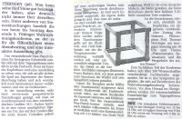 2002 Tübinger Wahrnehmungskonferenz-SCHWÄBISCHES TAGBLATT-2.JPG